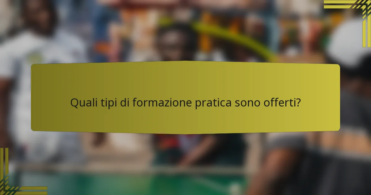 Quali tipi di formazione pratica sono offerti?